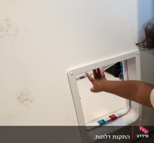 דלת לחיות מחמד עם יד מושטת פנימה